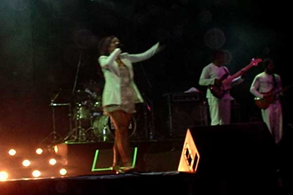 11124441_4.jpg