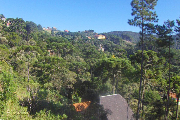 121087_2-1.jpg