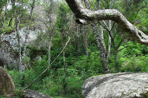 1230_9444_5_126.jpg