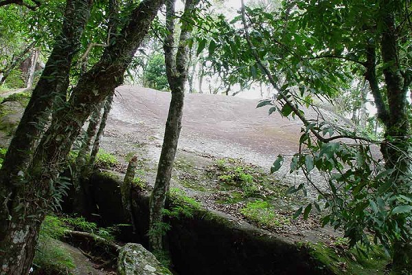 1230_94525_15_126.jpg