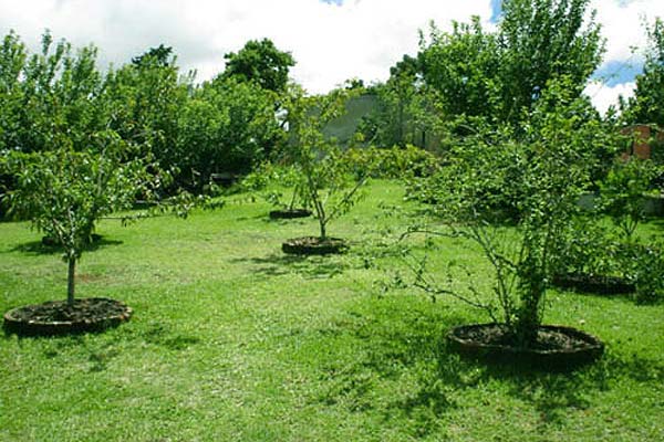 13153124_15-1.jpg