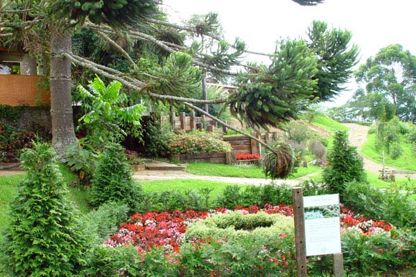 15135339_20.jpg