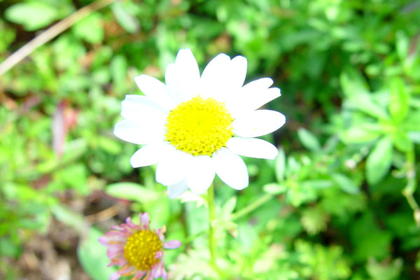 15135429_25.jpg