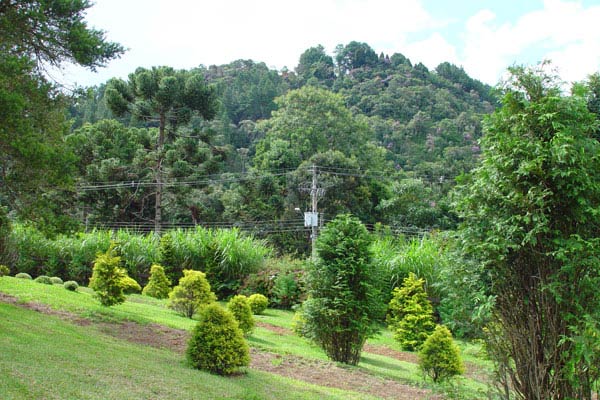 15135458_28.jpg
