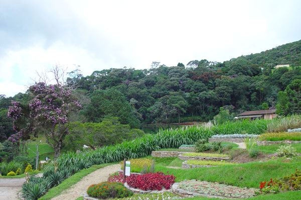 15135654_38.jpg