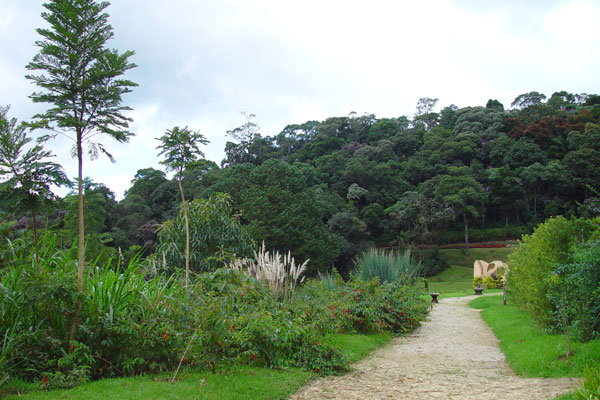 15135737_43.jpg