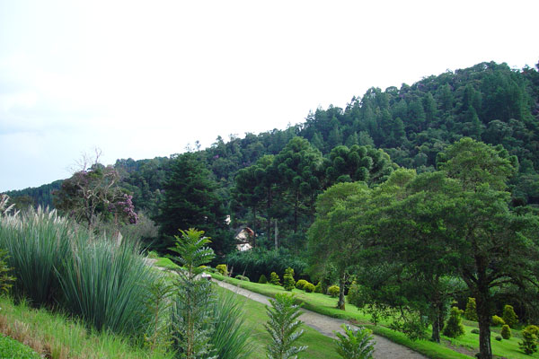 1513582_46.jpg