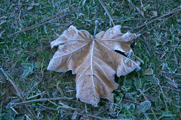 1519328_6.jpg