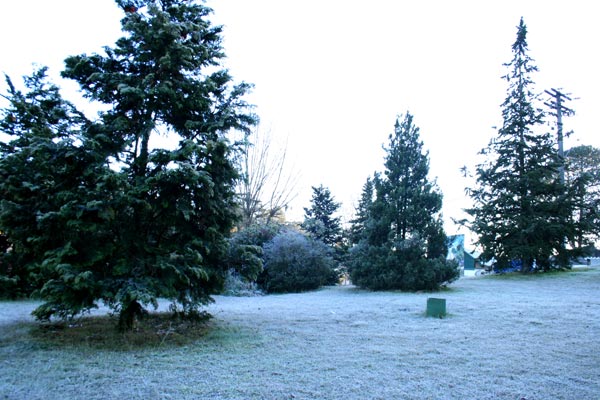 1519338_8.jpg