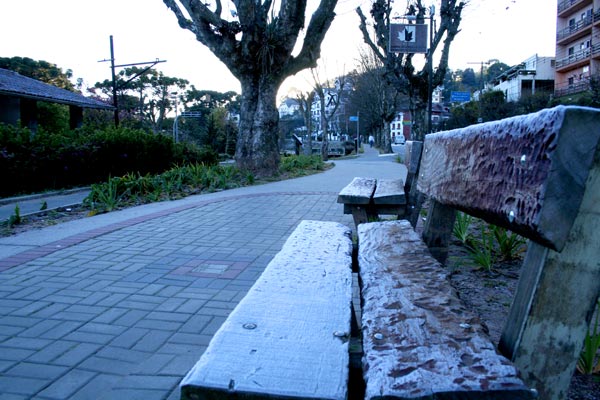 1519356_12.jpg