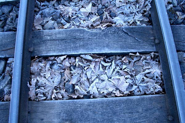 1519450_15.jpg