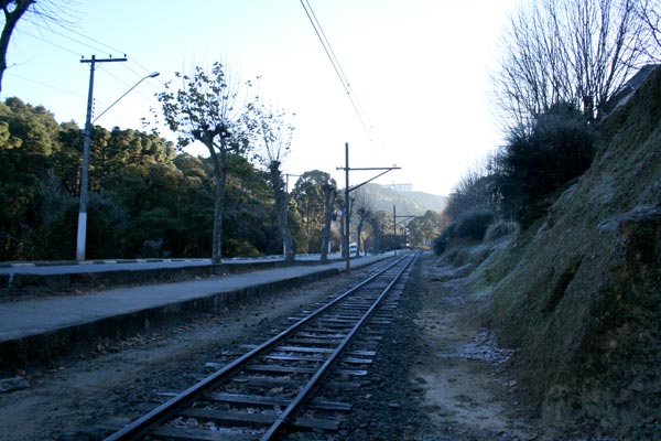 1519458_16.jpg