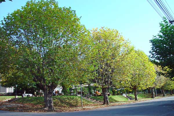 16134553_23.jpg