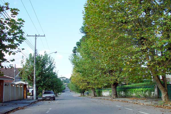 16134649_25.jpg