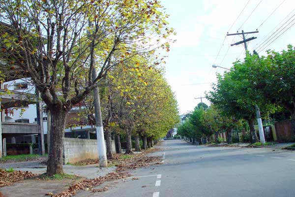 1613478_26.jpg