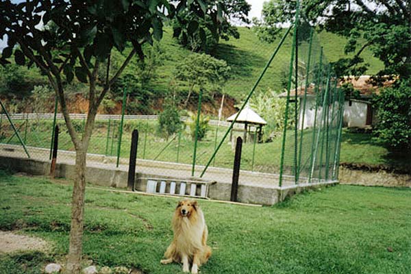 1713051_3-1.jpg