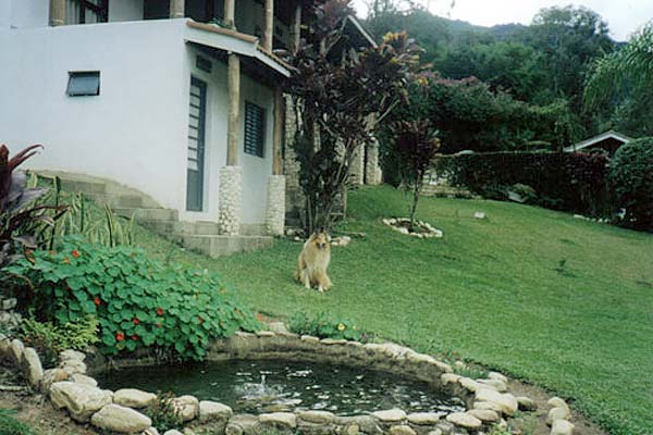 1713224_17-1.jpg