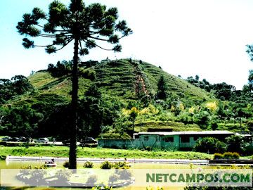 22153554_17.jpg