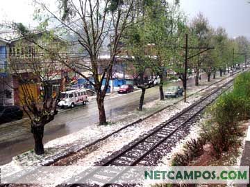 2385638_1.jpg