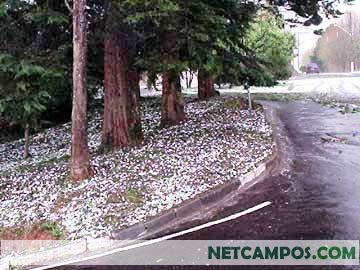 238571_3.jpg