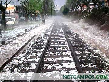 2385741_8.jpg