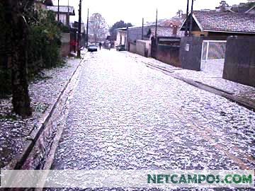 2385817_12.jpg
