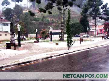 2385825_13.jpg