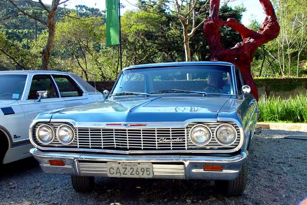 25193335_12.jpg