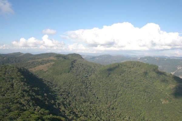 27183712_16.jpg