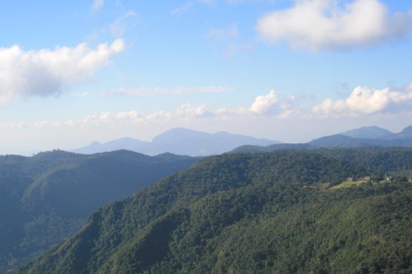 27184311_54.jpg