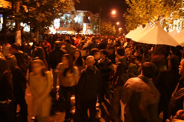 3145431_23.jpg