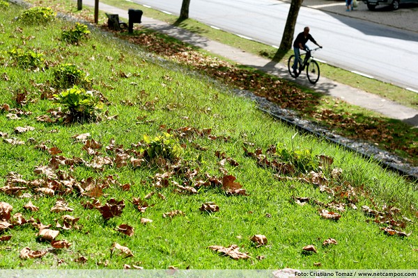 331_174436_img_5963_212.jpg