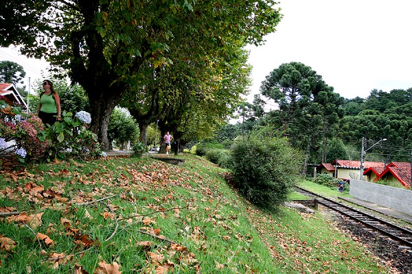 425_1941_img_3290_167.jpg