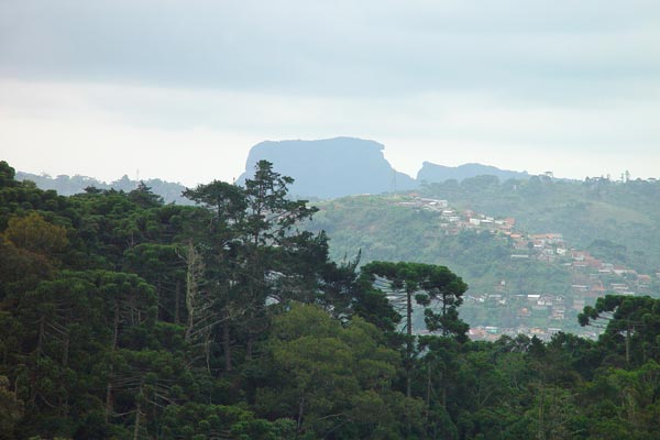 5155756_5.jpg