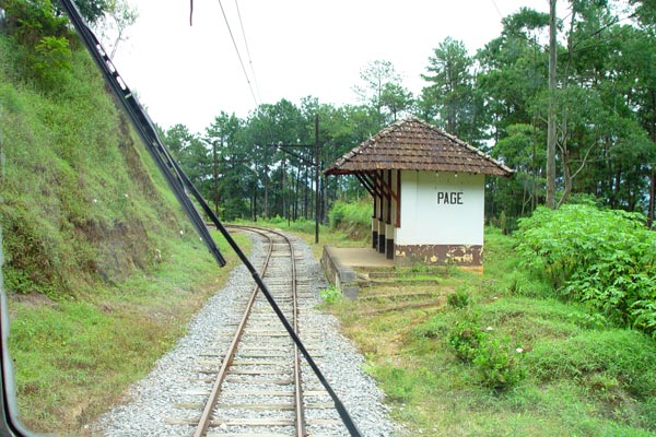 516049_16.jpg