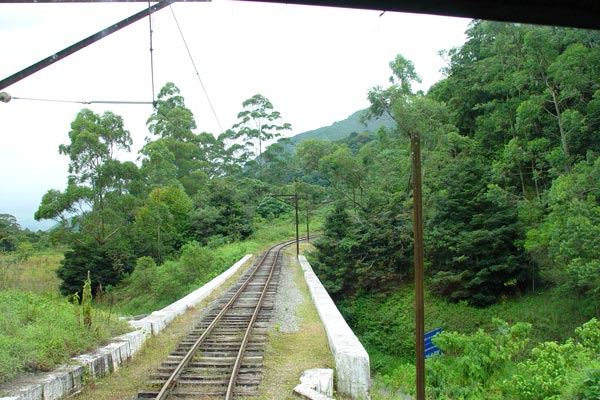 51615_17.jpg