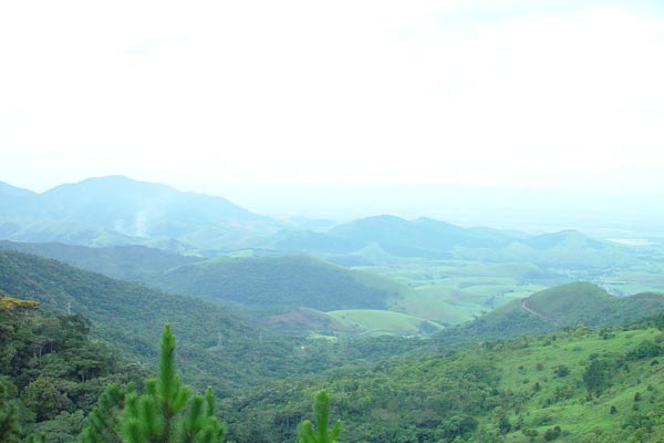 516334_26.jpg
