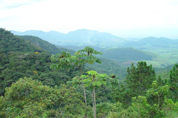 516412_29.jpg