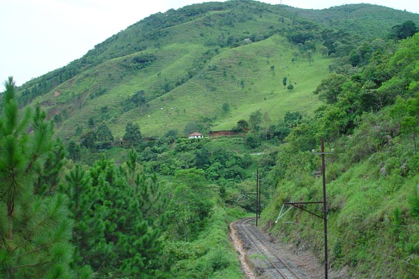 516517_32.jpg