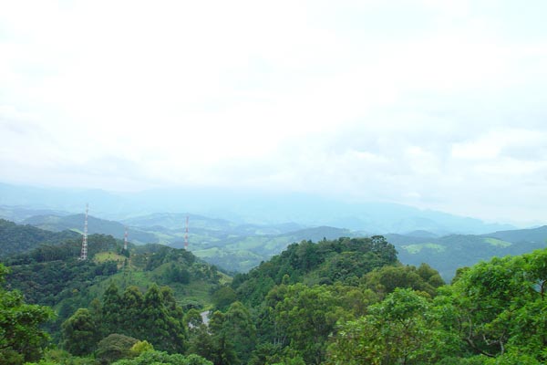 516618_35.jpg