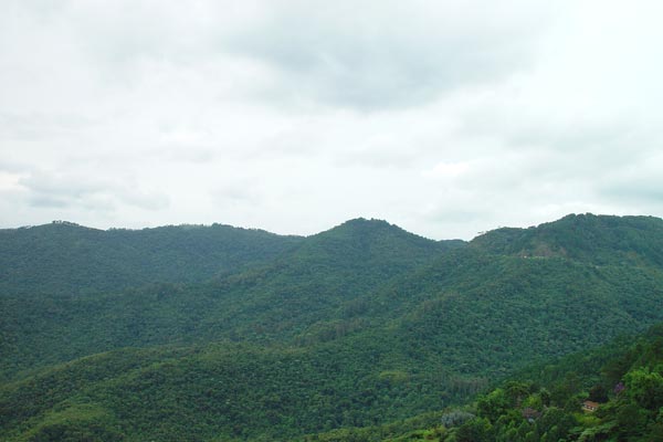 516640_36.jpg