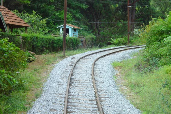 516848_42.jpg