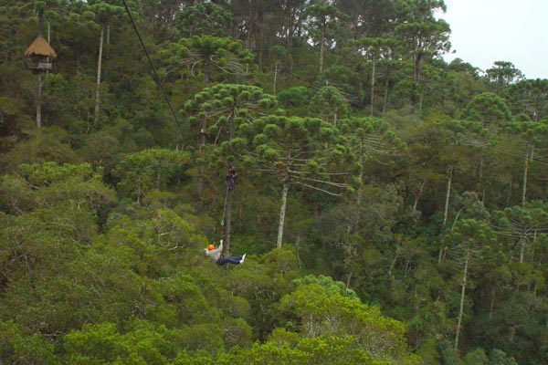 7173127_9.jpg