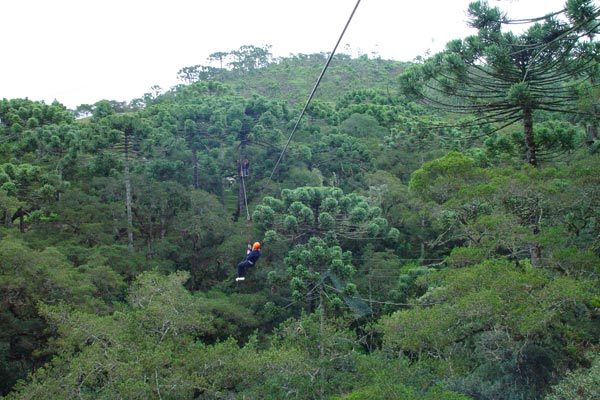 717387_15.jpg