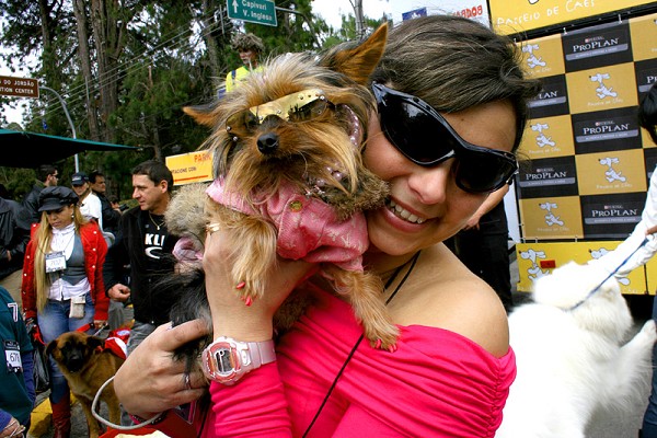 810_10277_8_160.jpg