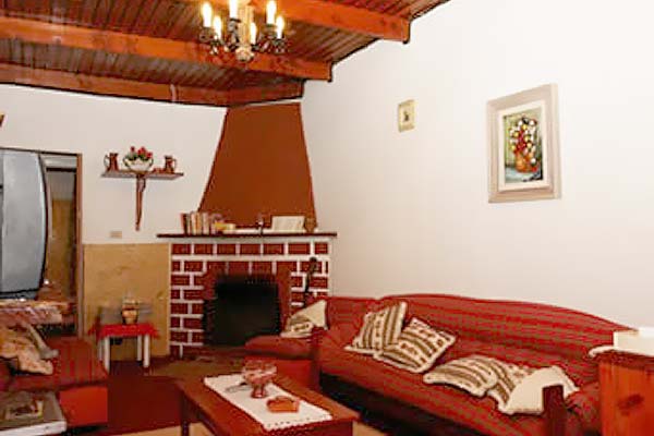 9163021_3-1.jpg