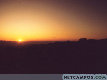 9163320_03.jpg