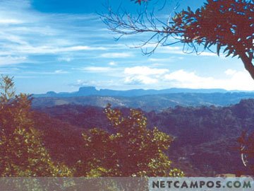9163342_04.jpg