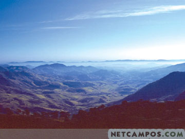 9163354_05.jpg
