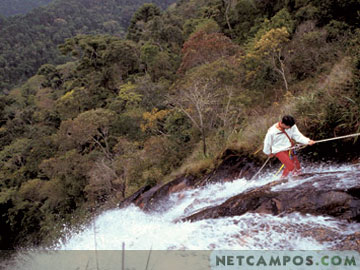 916336_02.jpg